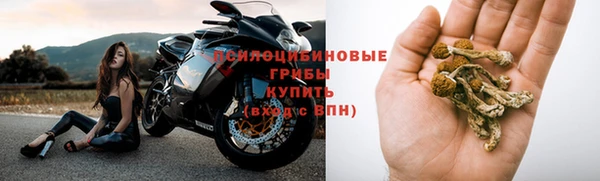 крисы Нефтегорск