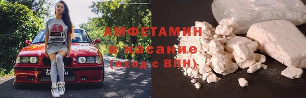 амф Магас