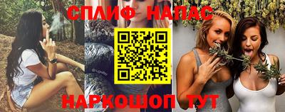 гашик Краснодар