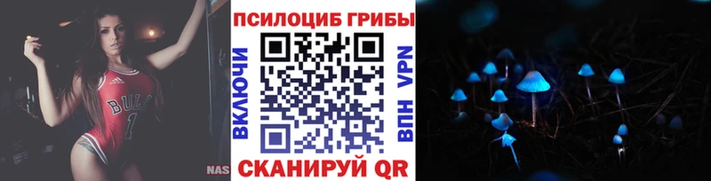 купить наркоту  Топки  Галлюциногенные грибы прущие грибы 