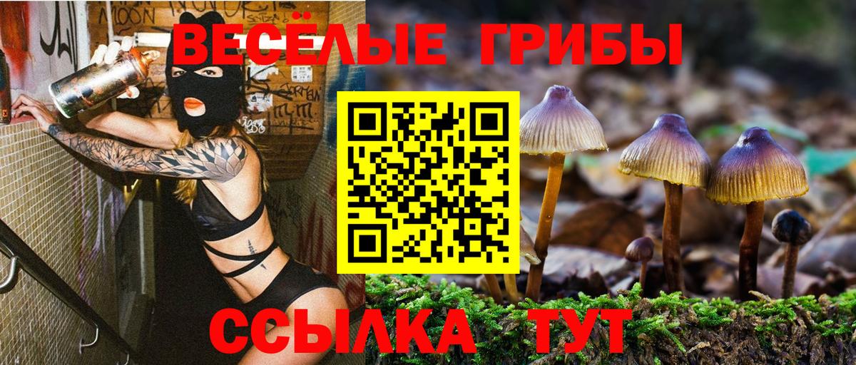 Псилоцибиновые грибы Psilocybine cubensis Топки