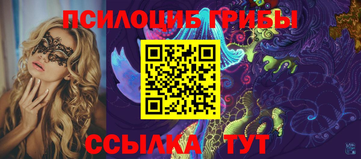 Топки  Галлюциногенные грибы Psilocybe  Вход с VPN 
