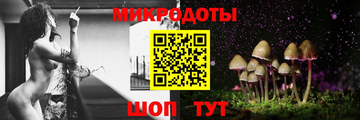 закладки  Псилоцибиновые грибы Magic Shrooms  Топки  Галлюциногенные грибы мицелий 